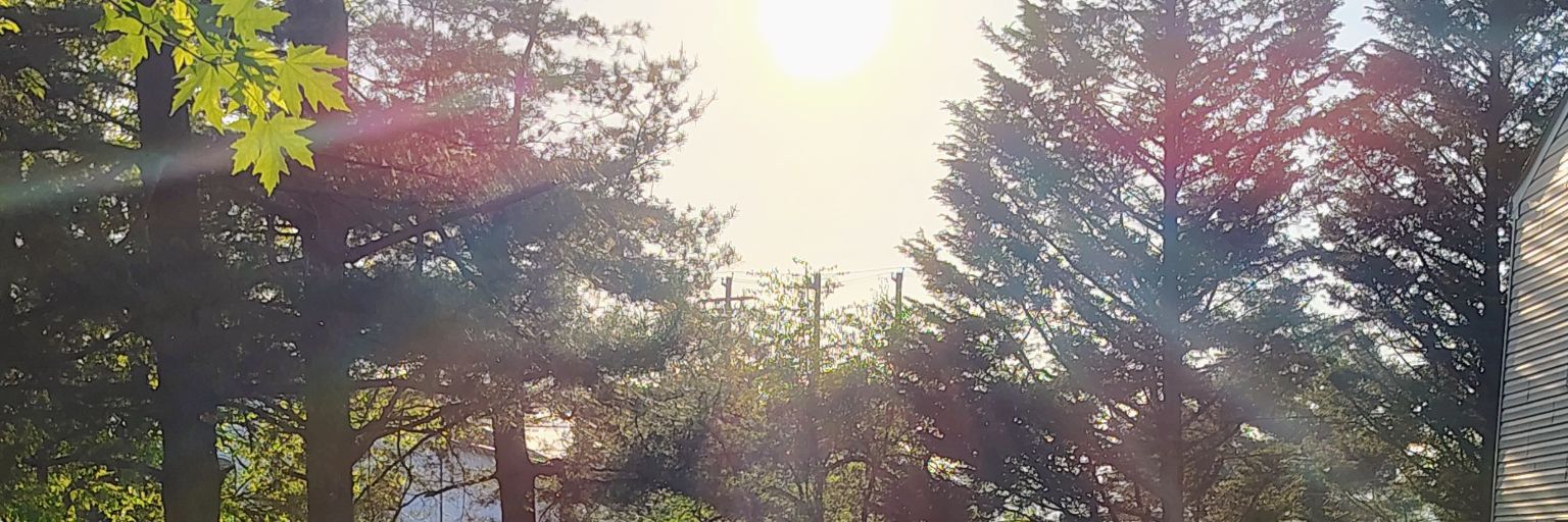 phantassma 🔞 banner