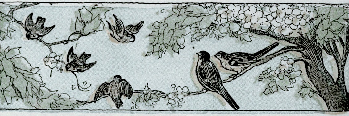 𝓵𝘂𝗰𝗶𝗲𝗻𝗻𝗲 𝓱𝗼𝗹𝗹𝗼𝘄𝗮𝘆. banner