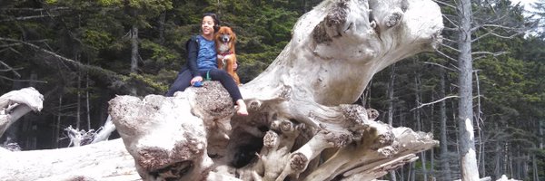 Dr_Sarah_Wilson Profile Banner