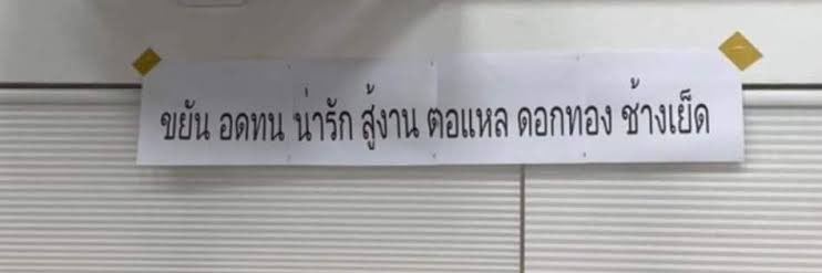 ♡︎ ₍ᐢᐢ₎ banner