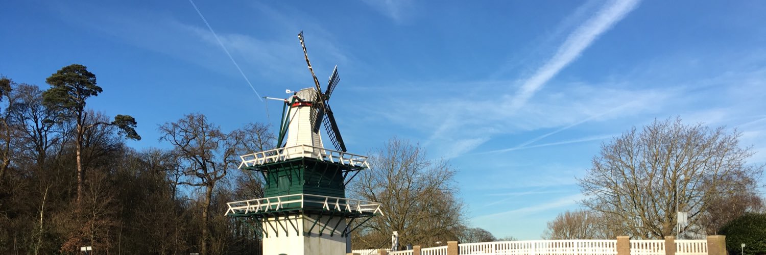 Jaap van Buchem banner