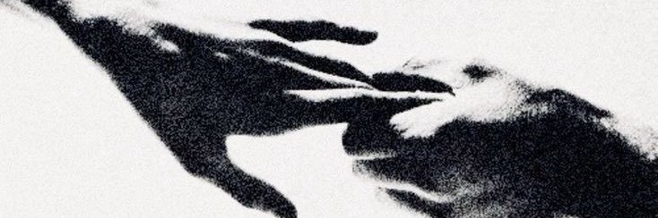 ۟ banner