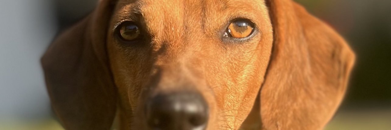 karinebborges's profile banner image