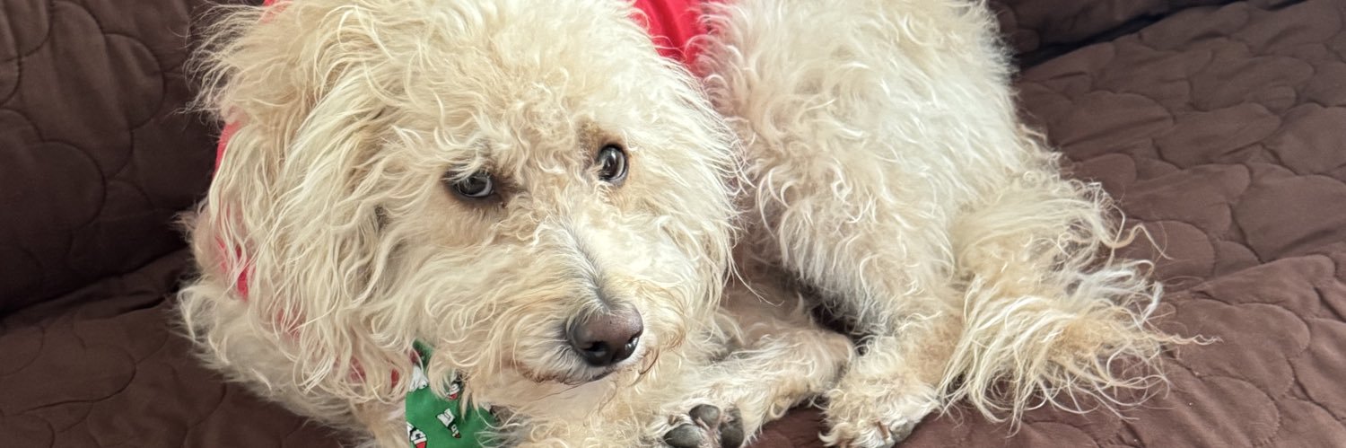 Mike 🚴🏻❄️☕️🌊⚛️ 💙🇺🇸🇩🇪 banner