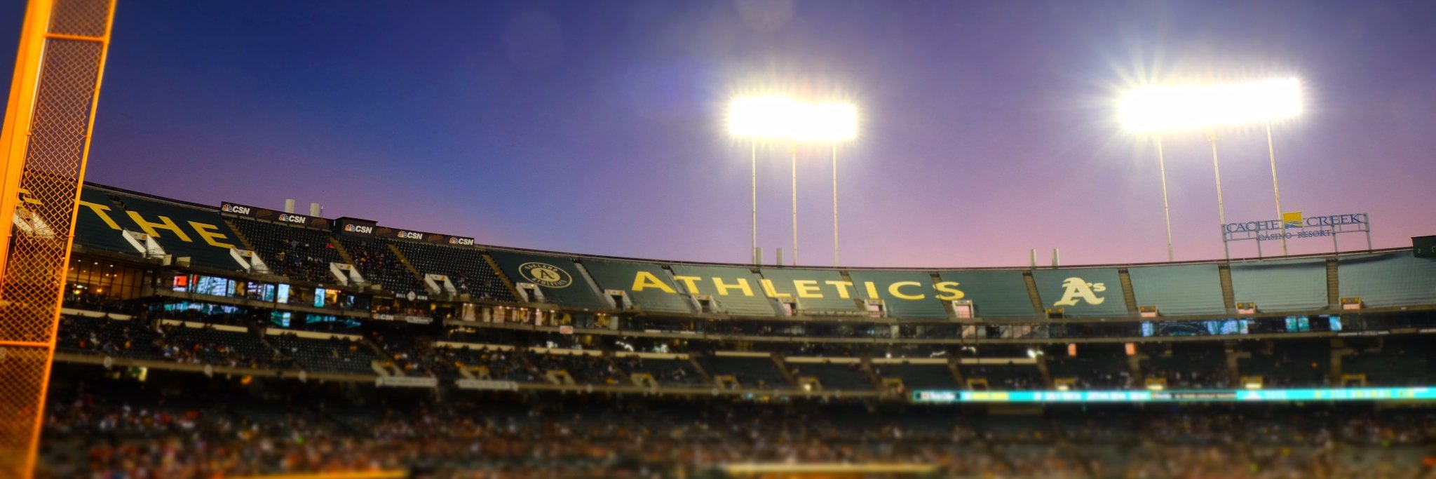 Tom Flack banner