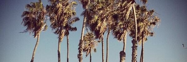 ZachPower's profile banner image