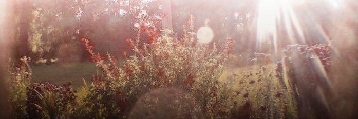 alinatunca's profile banner image