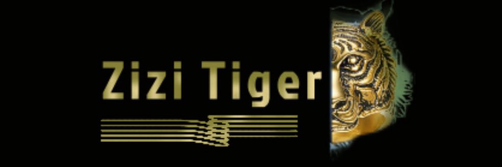 zizitiger's profile banner image