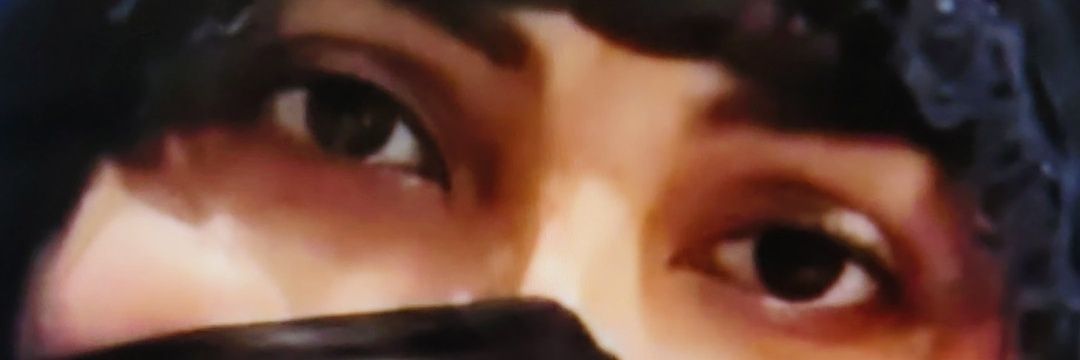 Alima Zareena banner