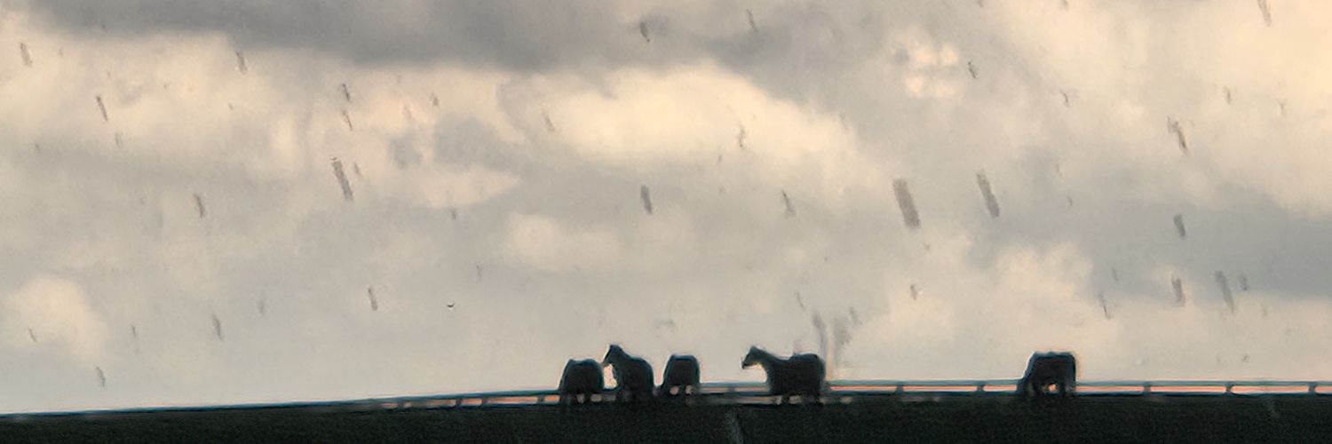 FullbackRespecter banner