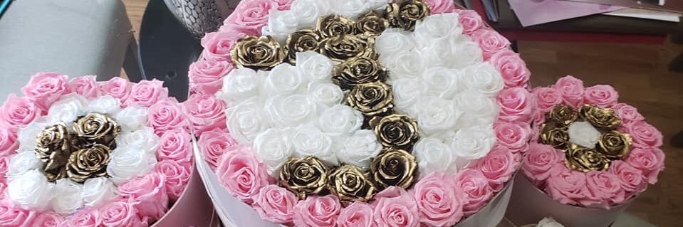 IG _GoDannie banner