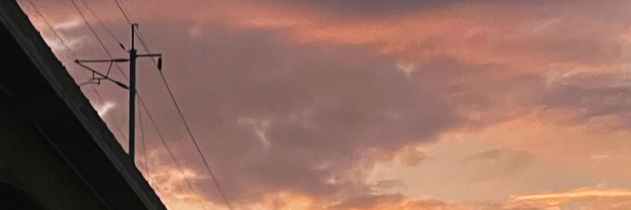FatAss banner