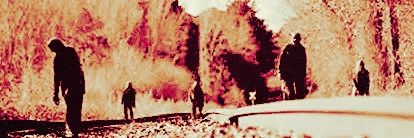 𝕺 𝐈 𝐒 𝐈 𝐍 banner