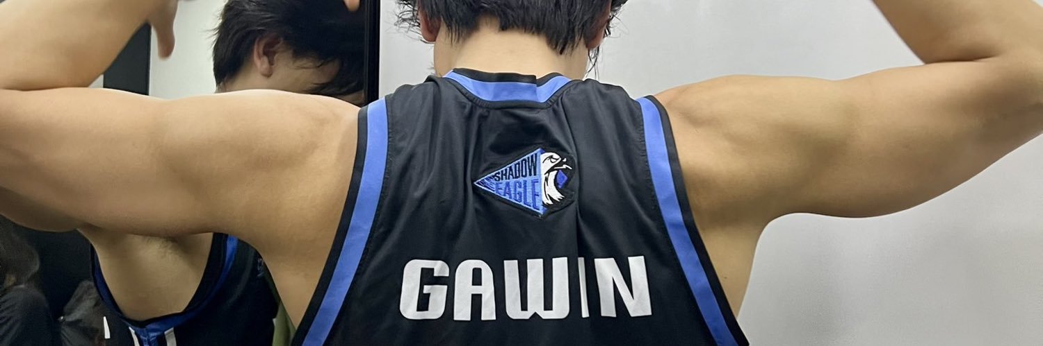anothergeminay's profile banner image