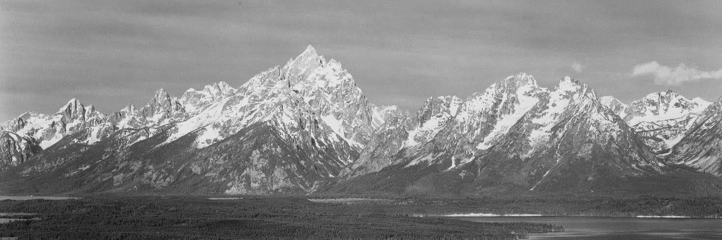 Steven Buccini banner