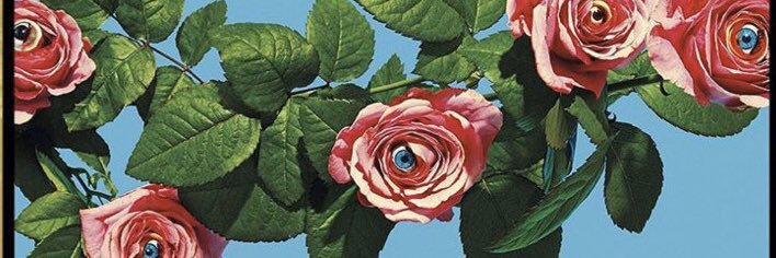 MsPhoenixBaby's profile banner image