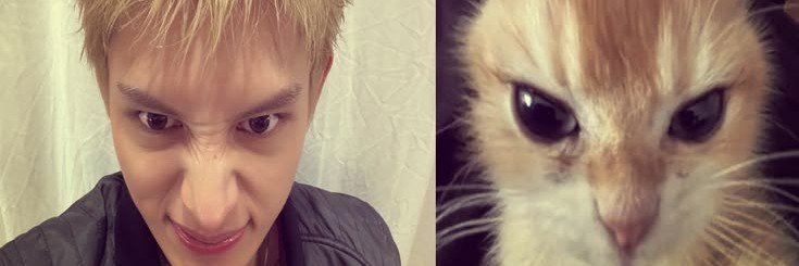 miuuu banner
