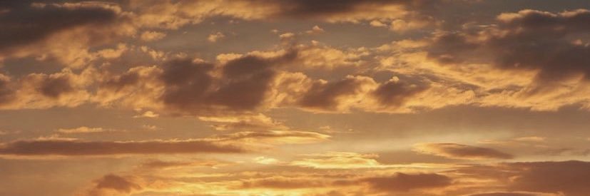 vanessinhalih's profile banner image
