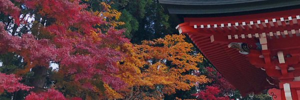 gaaaaac Profile Banner