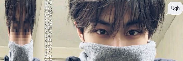 Shan banner