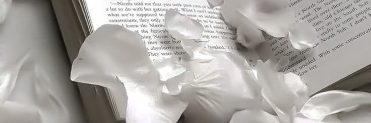 🧁 𝒥ames ogilvie of shtwt banner