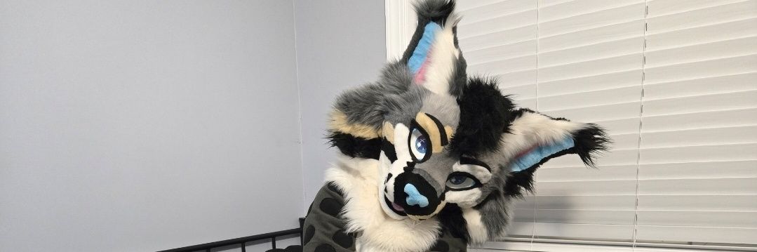 Nix Snowpaws banner
