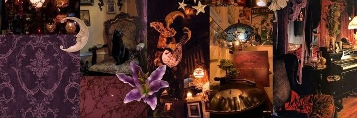 dora ☆ | ⚖️ banner