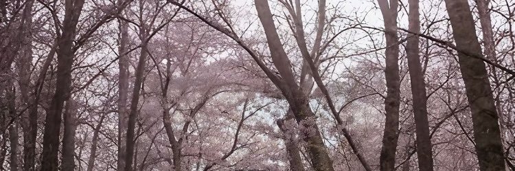 thefoolabovegreyfog banner