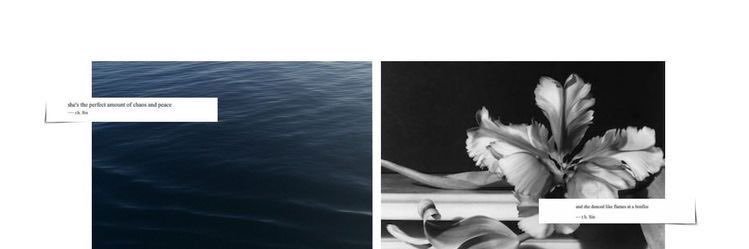 Allie ❀ (𝐿𝑖𝑣'𝑠 𝐺𝑖𝑟𝑙) banner