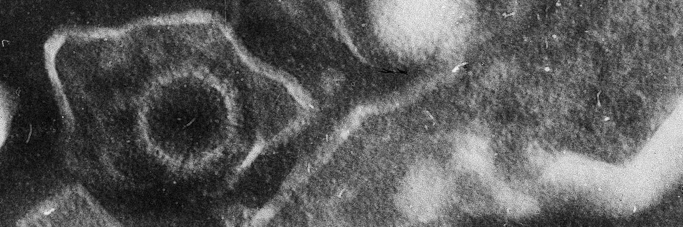 The Long Haul banner