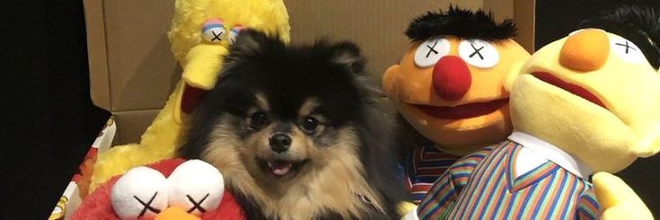 minpao ! banner