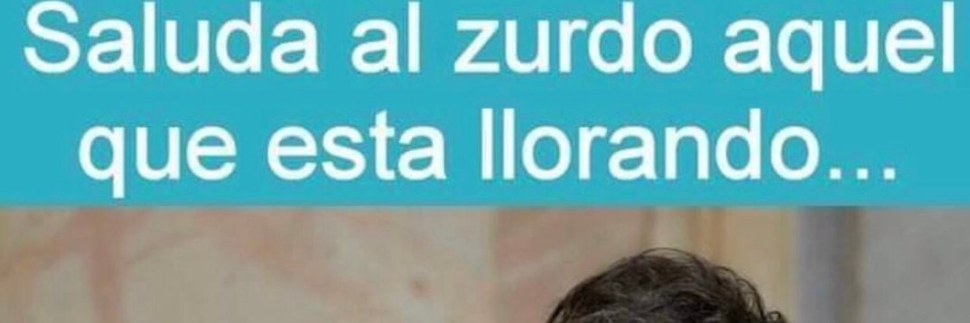 gerterrier's profile banner image