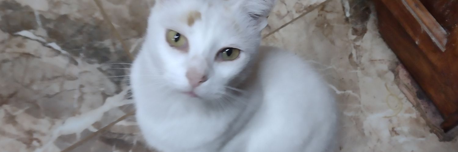 GringaJolin's profile banner image