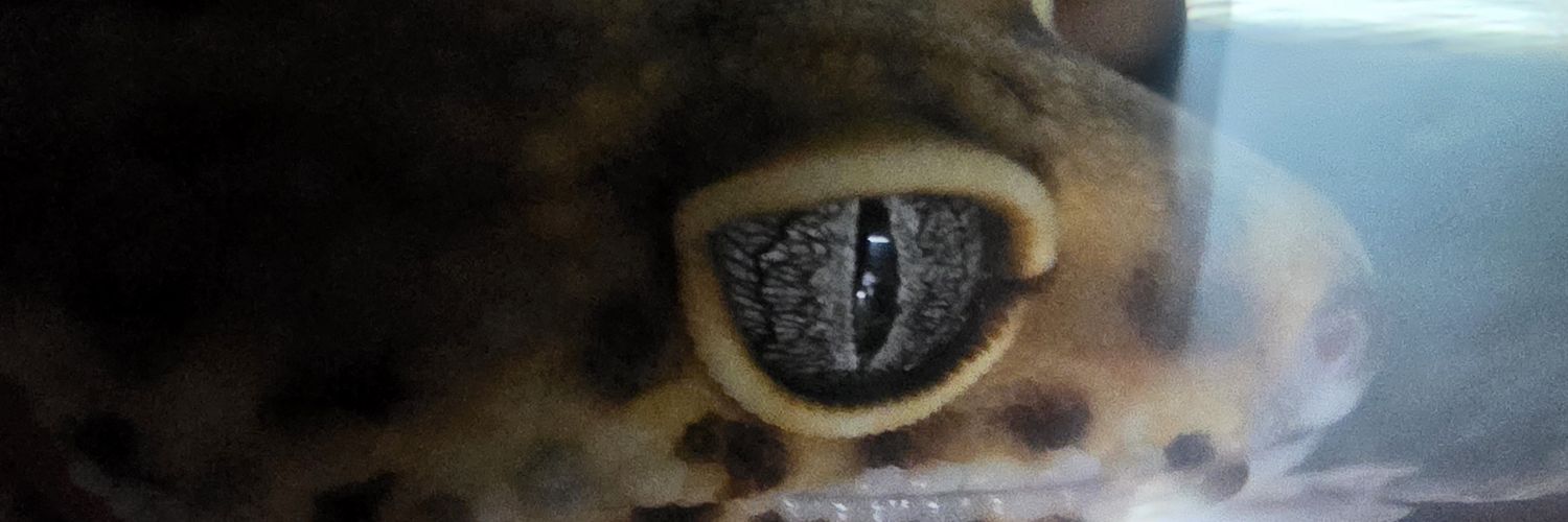 하와와죽빵이 banner