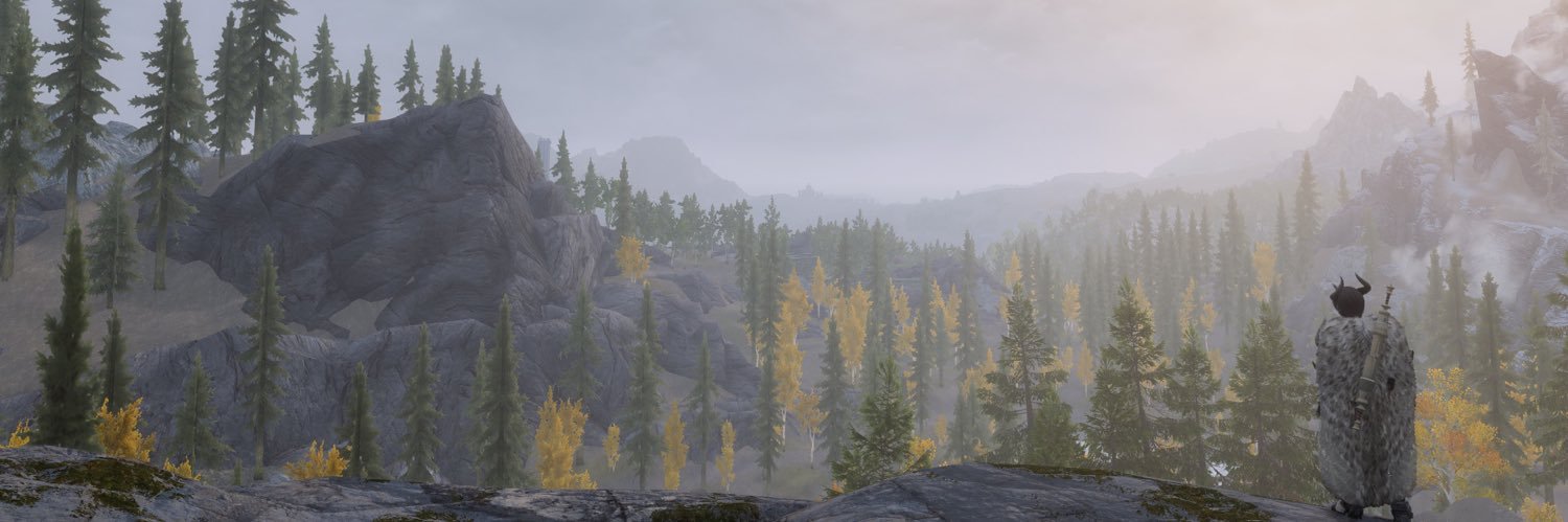 Nearsighted Naysayer banner