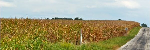 lafayettegary's profile banner image