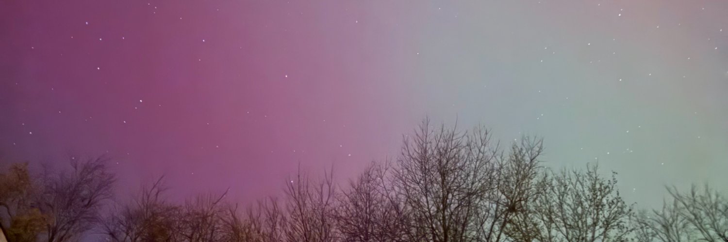 Natty_Bea's profile banner image