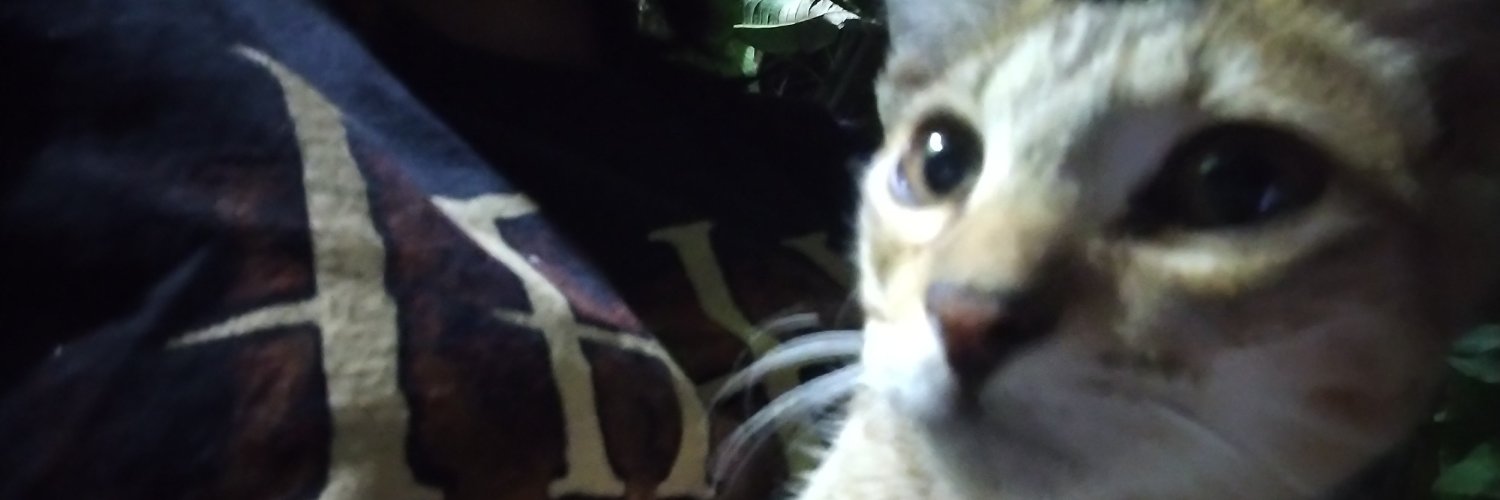 Cajs0n_'s profile banner image
