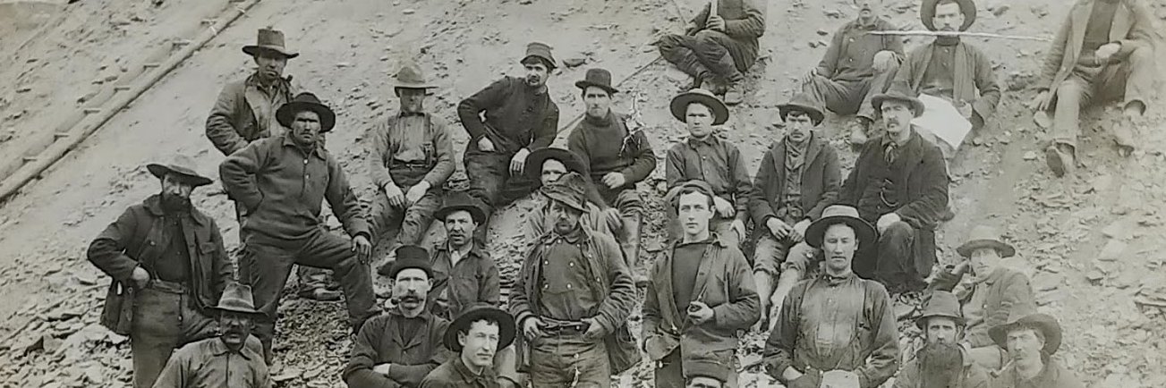 Michael McCrae banner