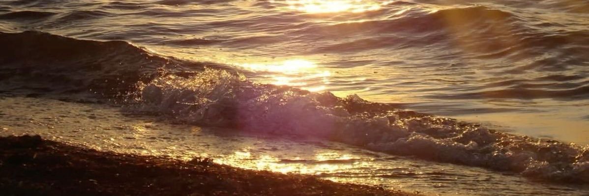 เกรียนกีบอด banner