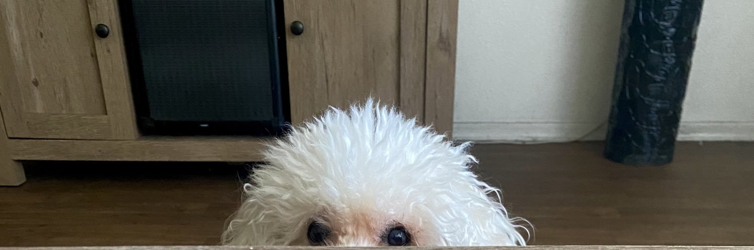 stephysuxx's profile banner image