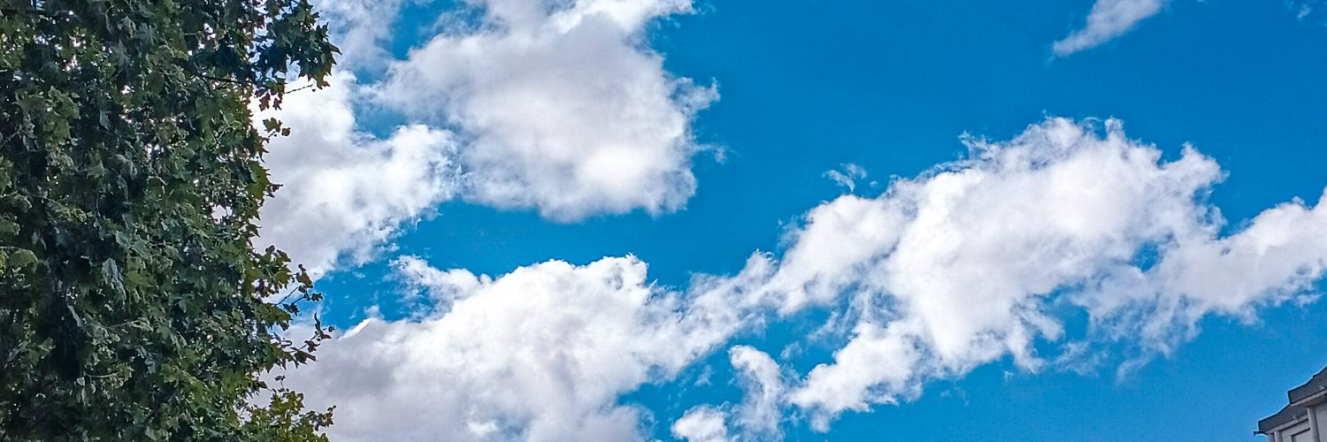 melissa7vb's profile banner image