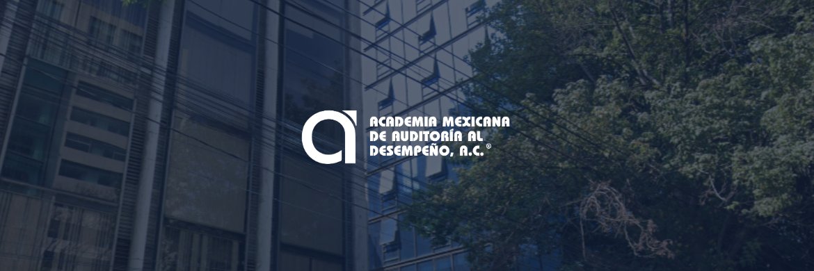 Academia Mexicana de Auditoría al Desempeño, A.C. banner