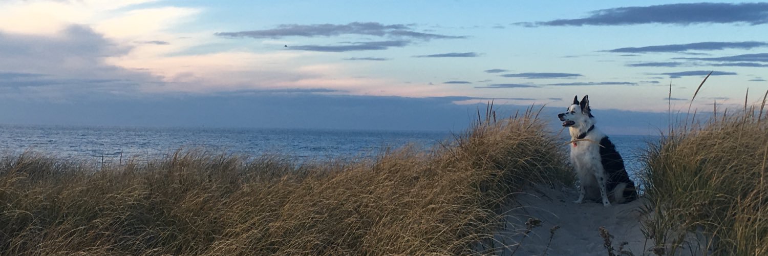 capeshmitty's profile banner image