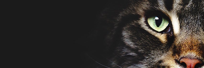 mv5fhv5's profile banner image