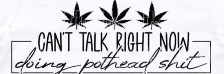 ChillyRat420's profile banner image