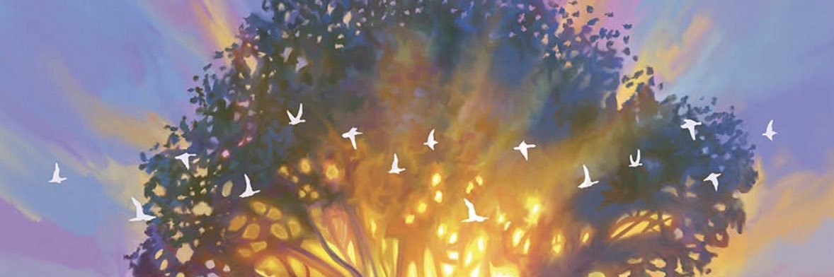 Trillondollar's profile banner image