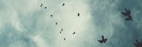 So Me banner
