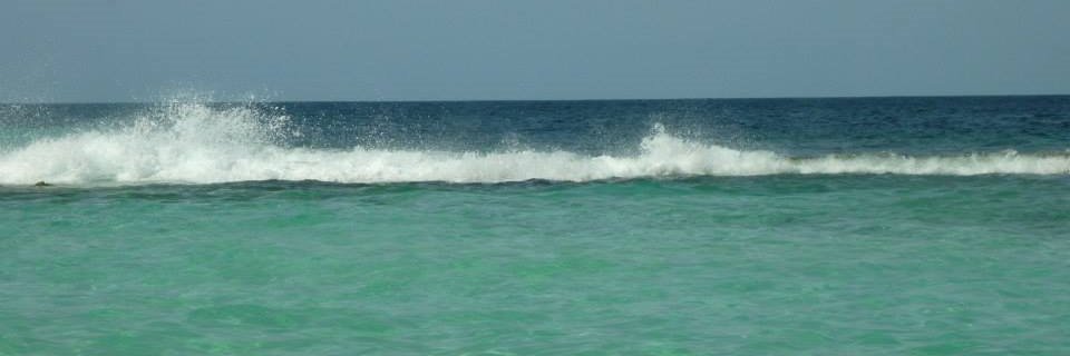 nettyx's profile banner image