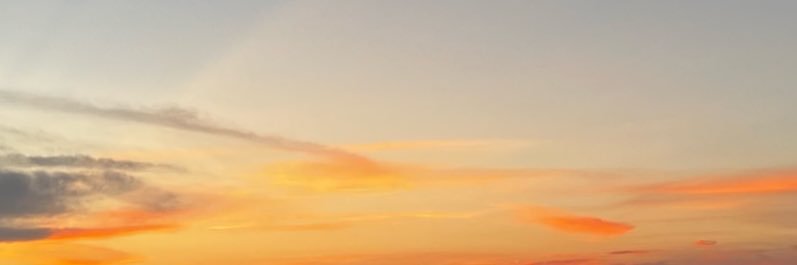 sorashidorr's profile banner image
